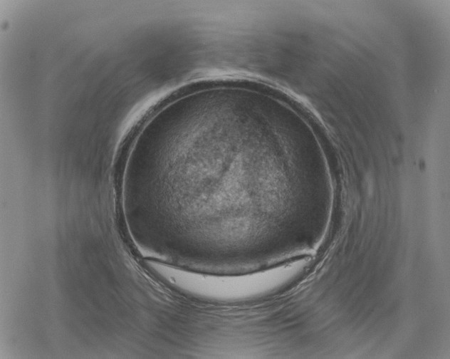 X0000078231319200611251204