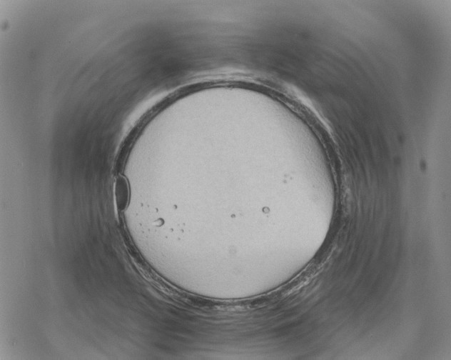 X0000078231320200611251204