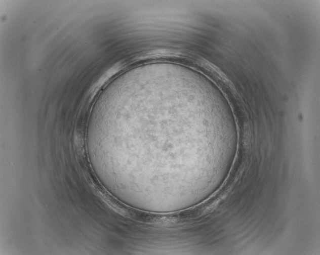 X0000078231321200611251204