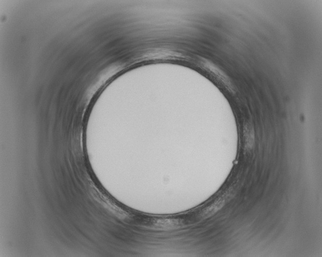 X0000078231322200611251204