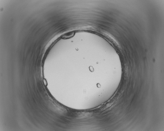 X0000078231324200611251204