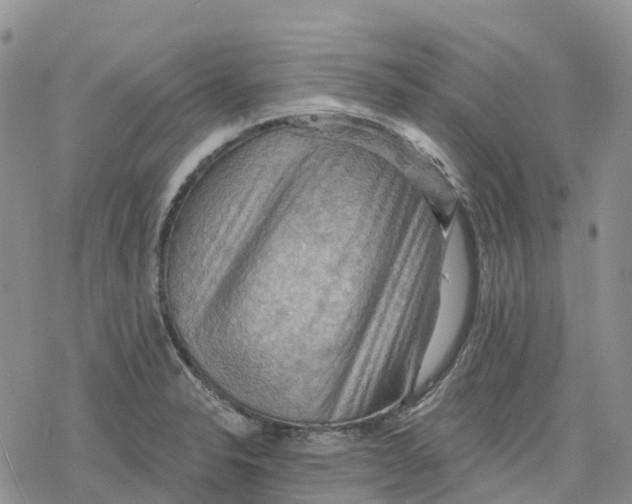 X0000078231326200611251204