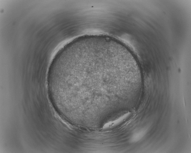 X0000078231327200611251204