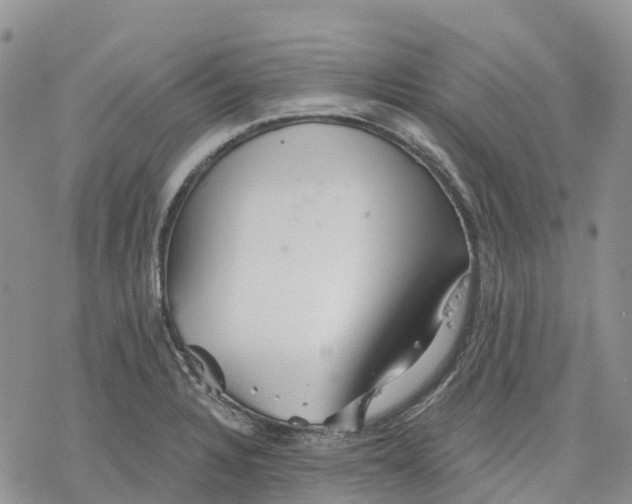 X0000078231328200611251204