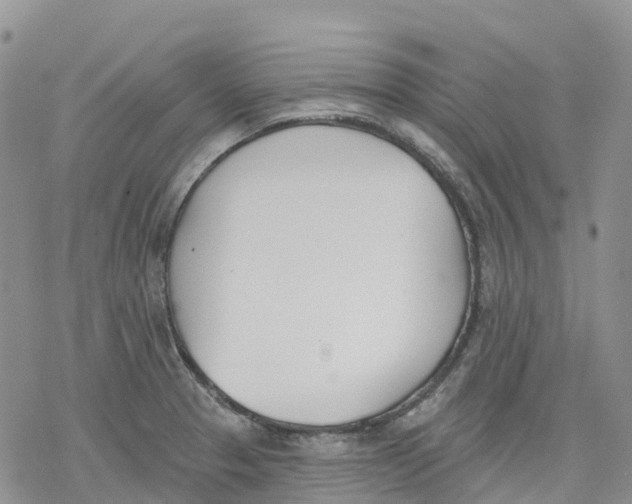 X0000078231329200611251204