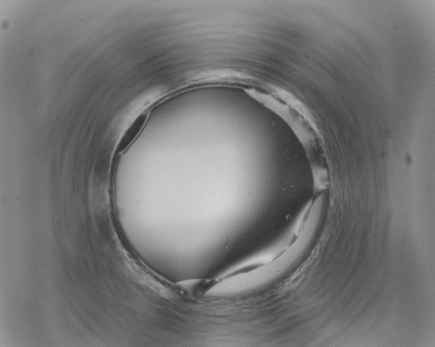 X0000078231330200611251204