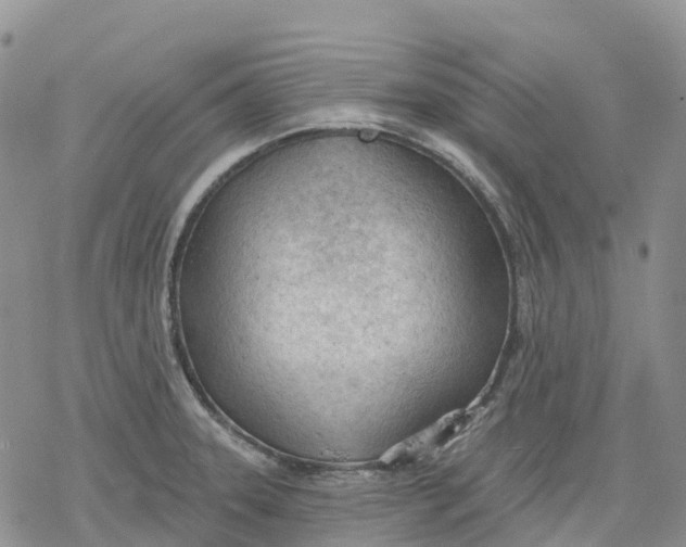 X0000078231331200611251204