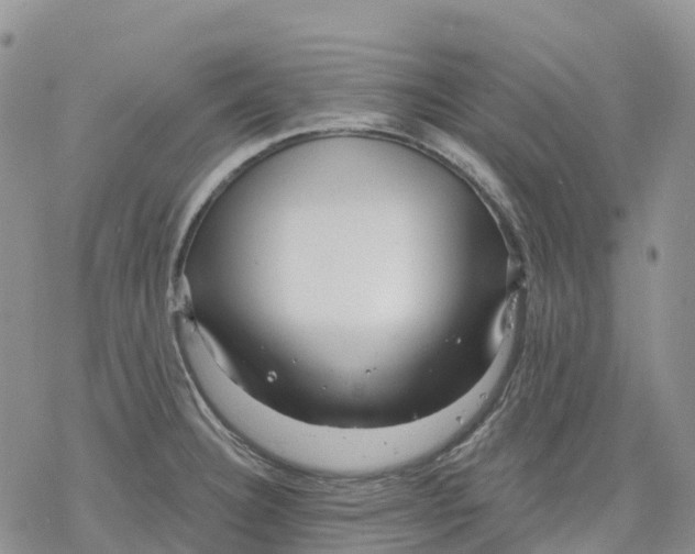 X0000078231332200611251204