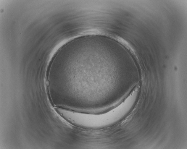 X0000078231334200611251204