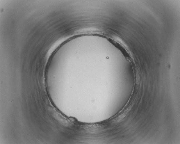 X0000078231336200611251204