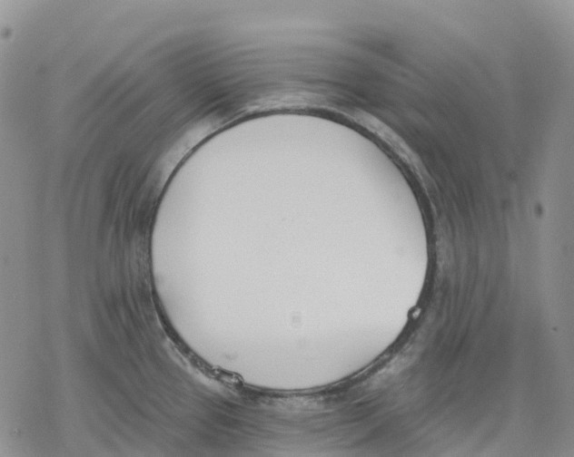 X0000078231337200611251204