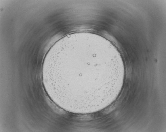 X0000078231338200611251204