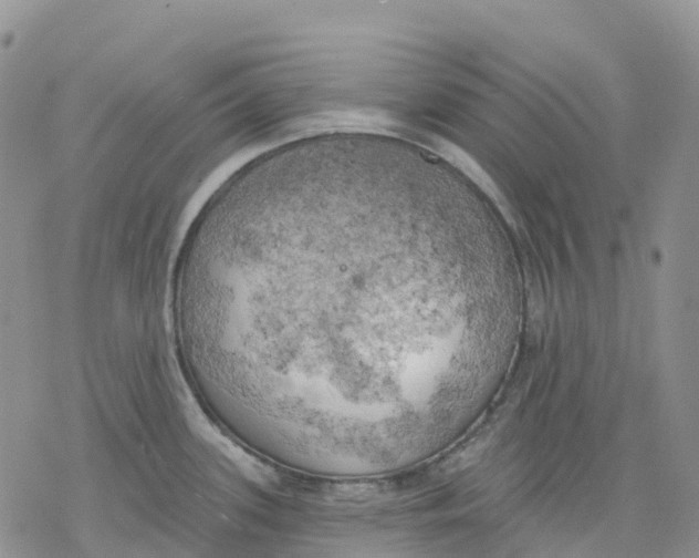 X0000078231339200611251204