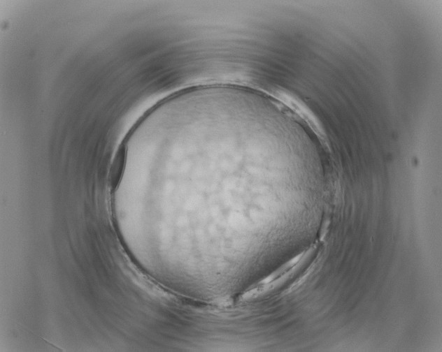 X0000078231340200611251204