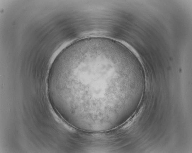 X0000078231341200611251204