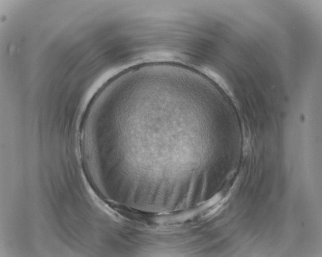 X0000078231342200611251204