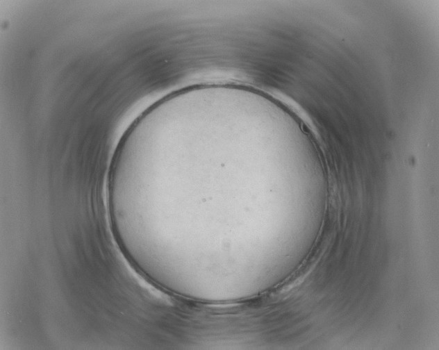 X0000078231343200611251205