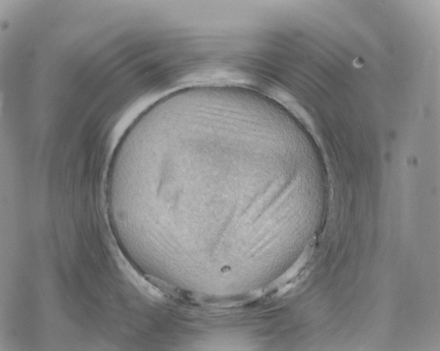 X0000078231344200611251205