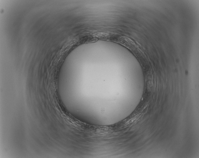 X0000078231345200611251204