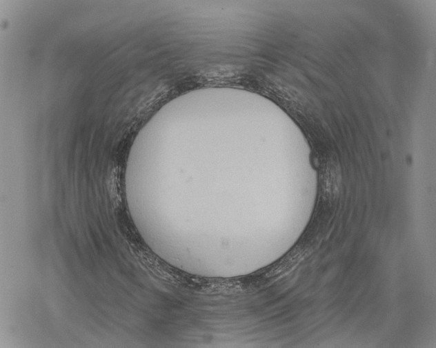 X0000078231346200611251204