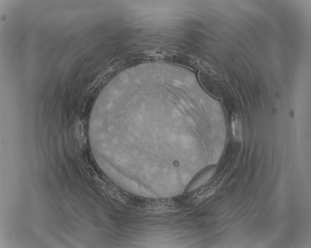 X0000078231347200611251204