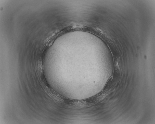 X0000078231348200611251204