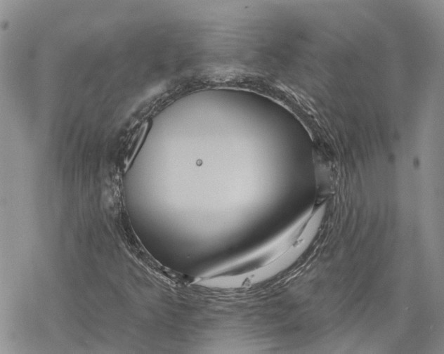 X0000078231349200611251204