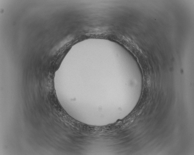 X0000078231350200611251204