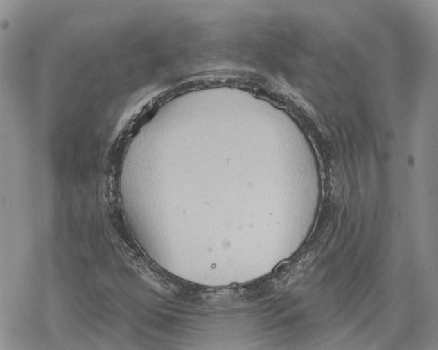 X0000078231352200611251204