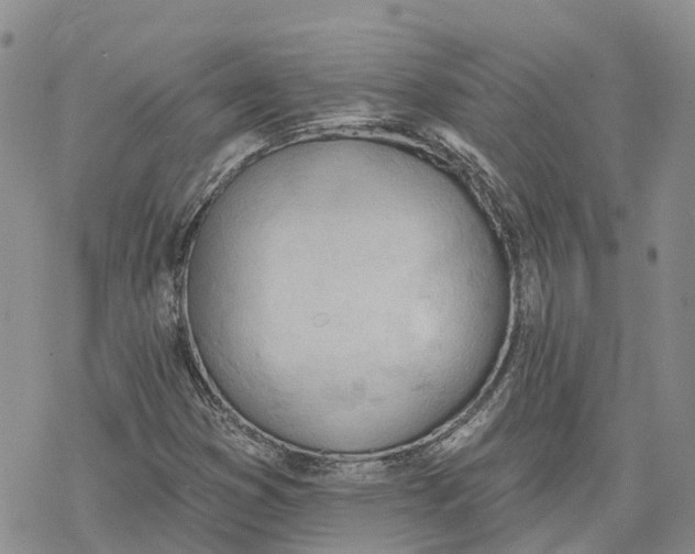 X0000078231353200611251204