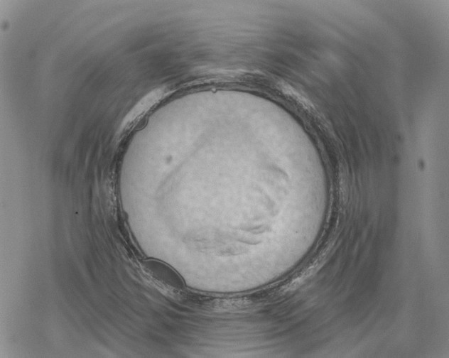 X0000078231354200611251204