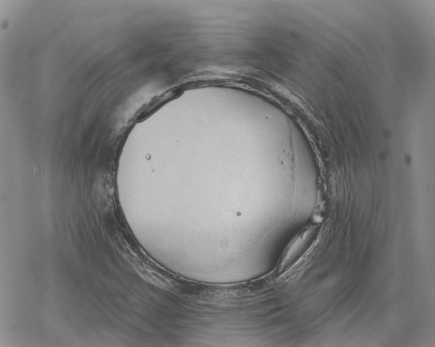 X0000078231355200611251204