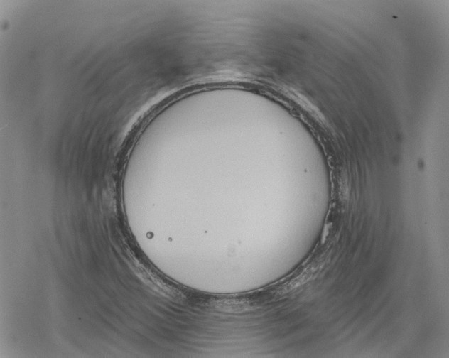 X0000078231356200611251204