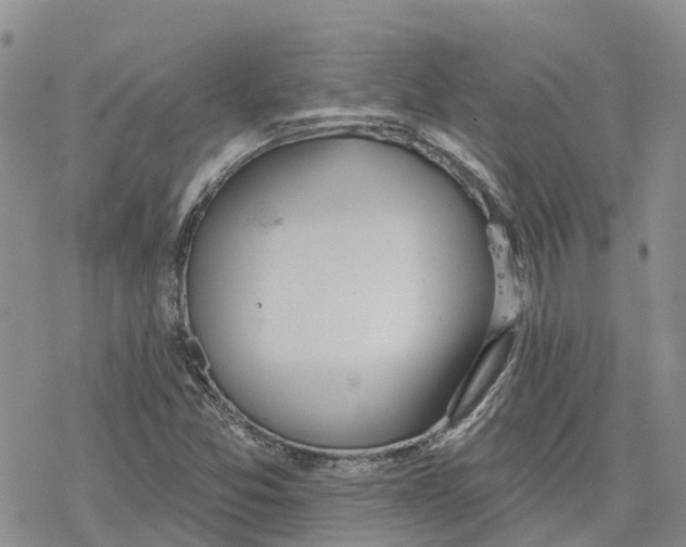 X0000078231357200611251204