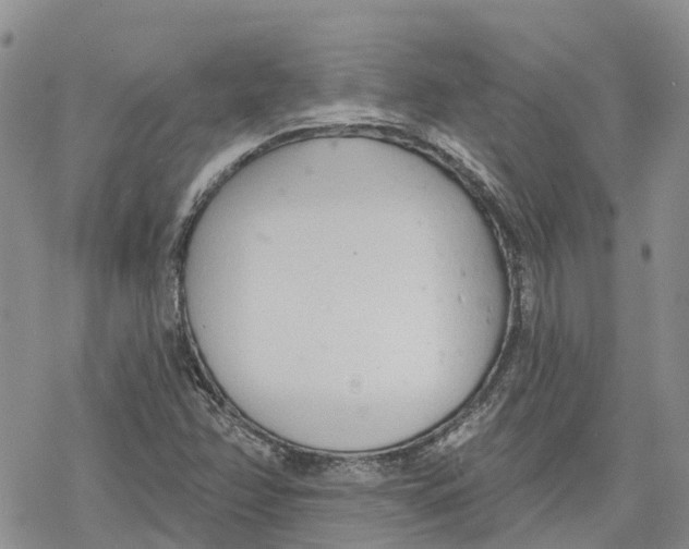 X0000078231358200611251204