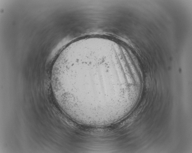 X0000078231359200611251204