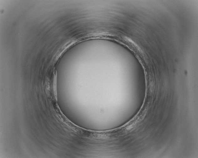 X0000078231361200611251203