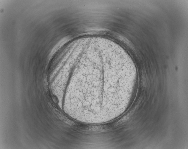 X0000078231362200611251203