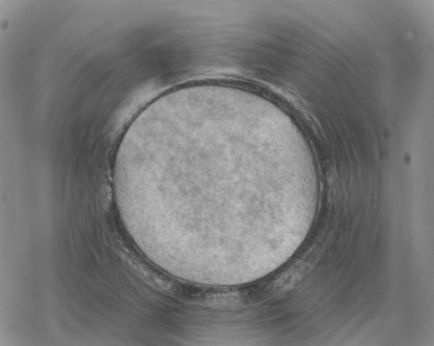 X0000078231363200611251203