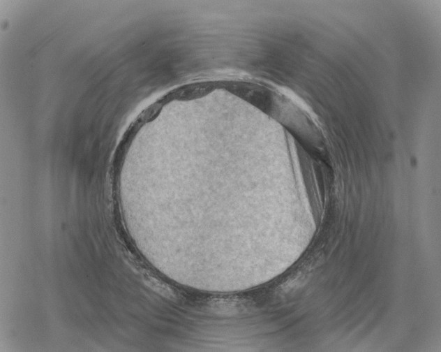 X0000078231364200611251203