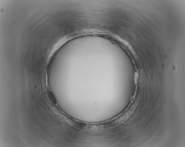 X0000078231365200611251203