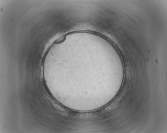 X0000078231366200611251203