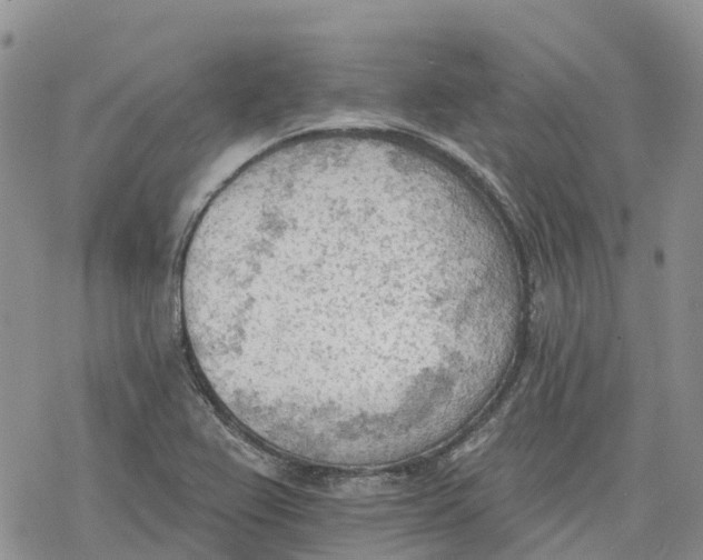 X0000078231367200611251203