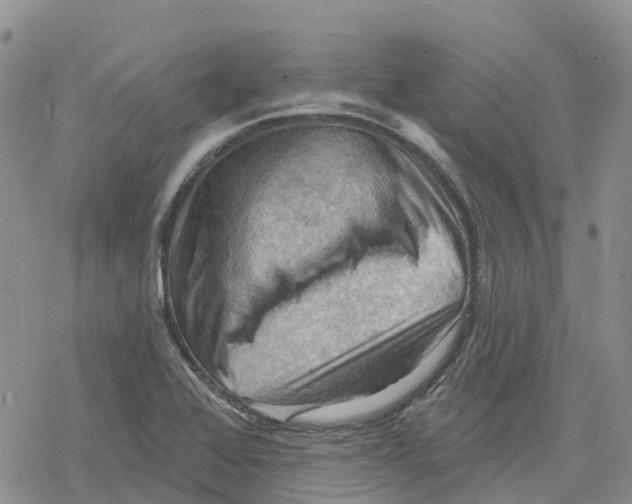 X0000078231368200611251203