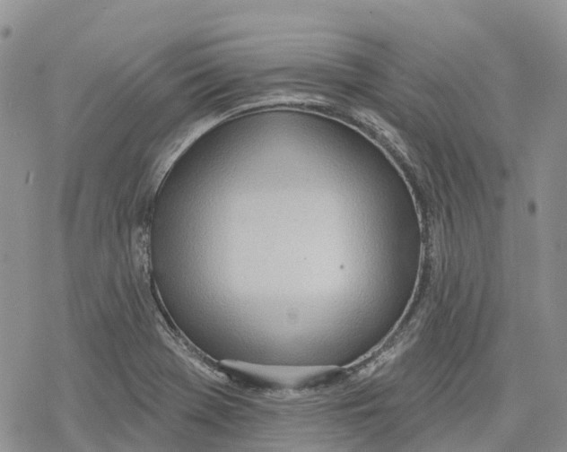 X0000078231369200611251203