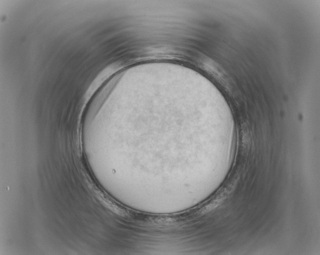 X0000078231370200611251203