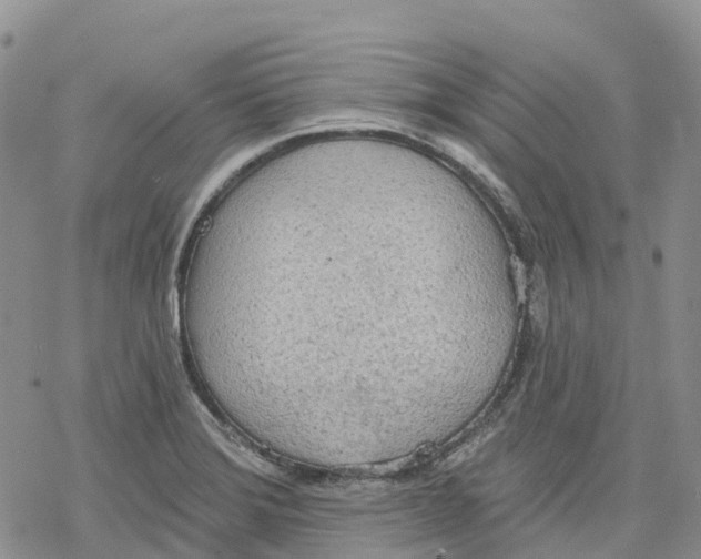 X0000078231372200611251203