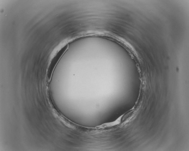 X0000078231373200611251203