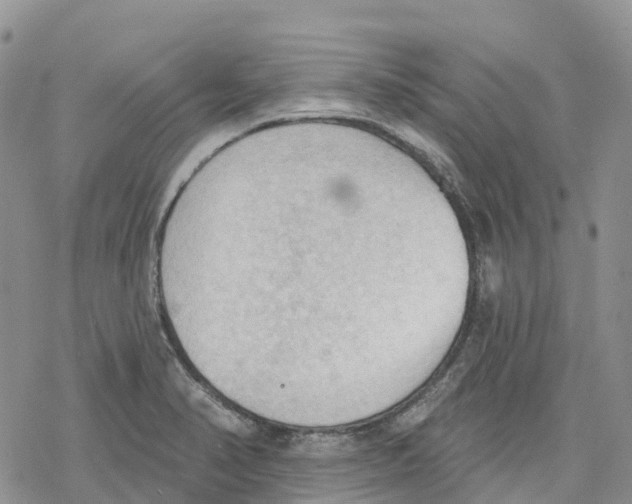 X0000078231374200611251203