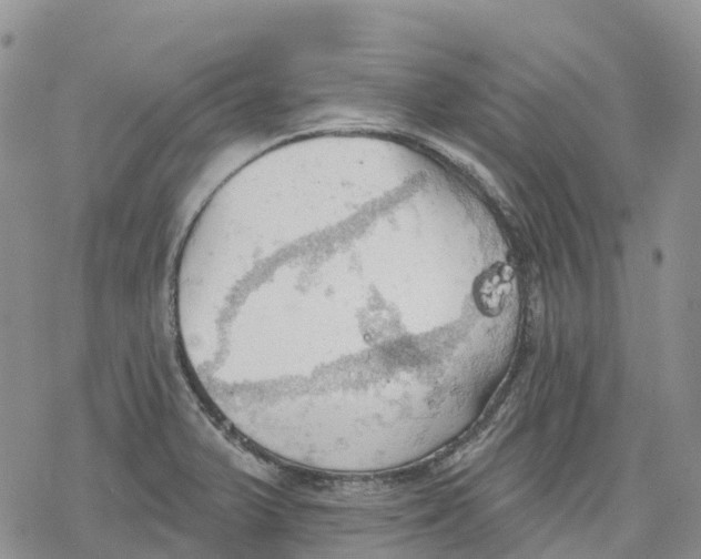 X0000078231375200611251203